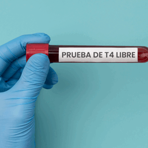T4 Libre