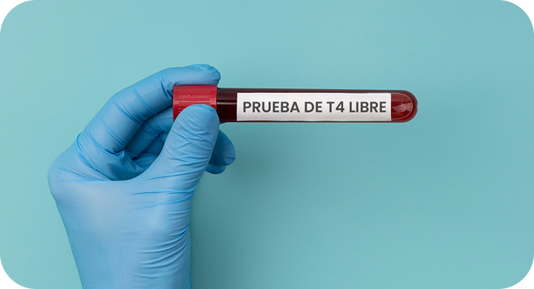 T4 Libre