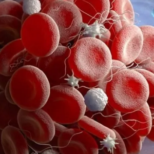 Anticoagulante Lúpico